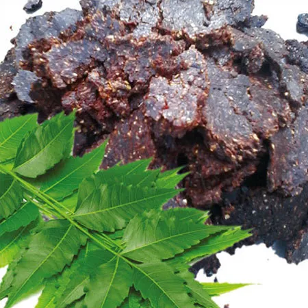 Neem Carrier Oil 1